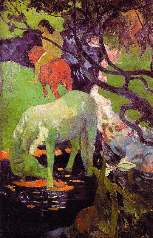 Paul Gauguin The White Horse r Norge oil painting art